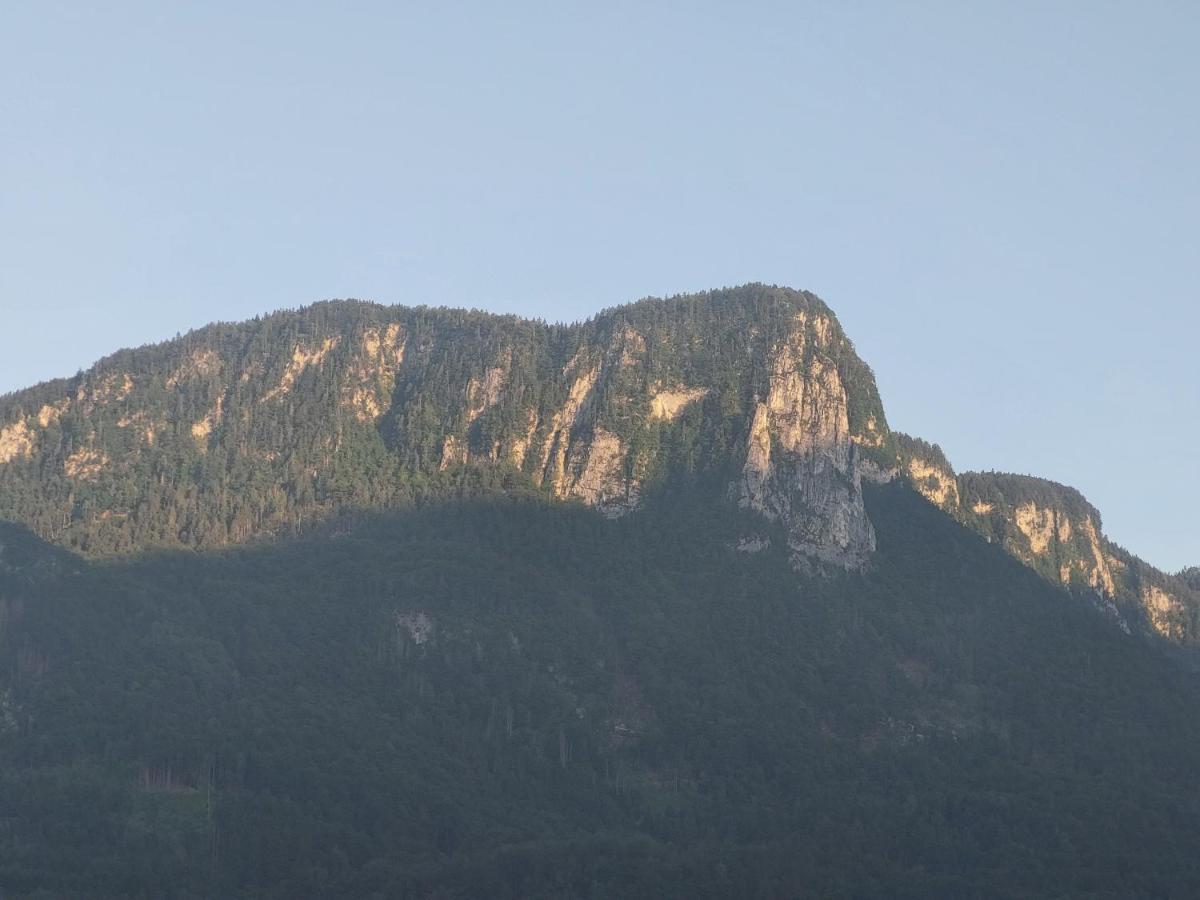 Apartmaji Pr'Pisk Bohinjska Bela Exterior foto