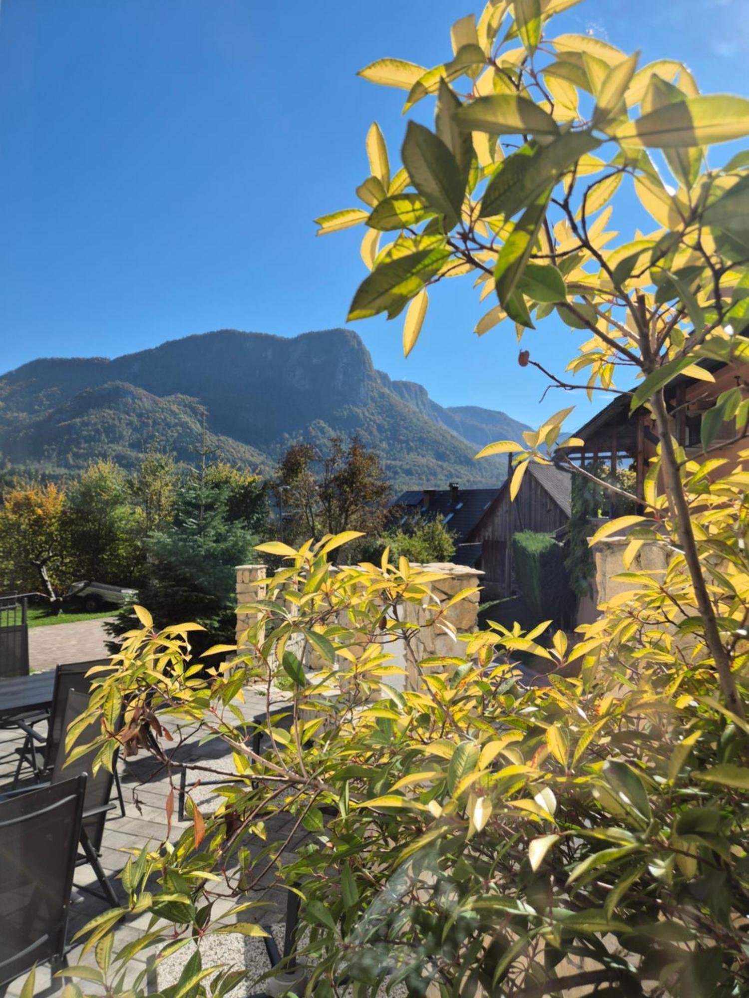 Apartmaji Pr'Pisk Bohinjska Bela Exterior foto
